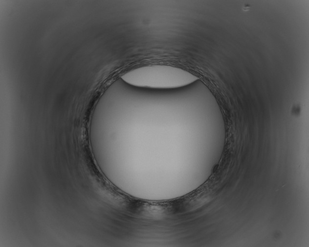 X0000091690706200708231131
