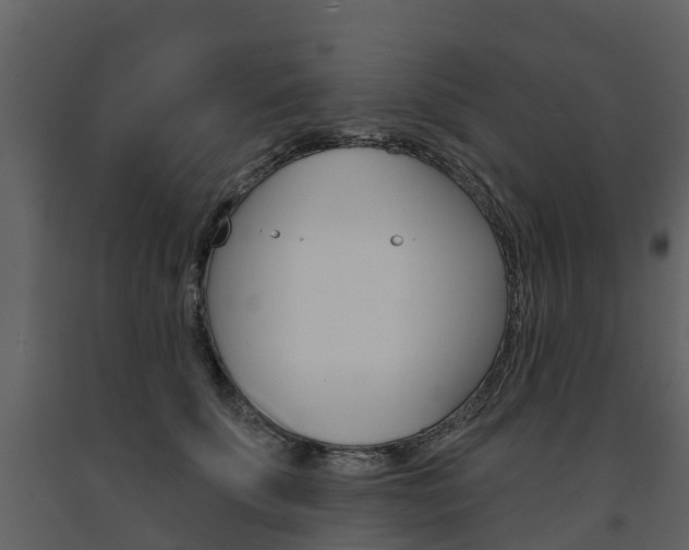 X0000091690707200708231131