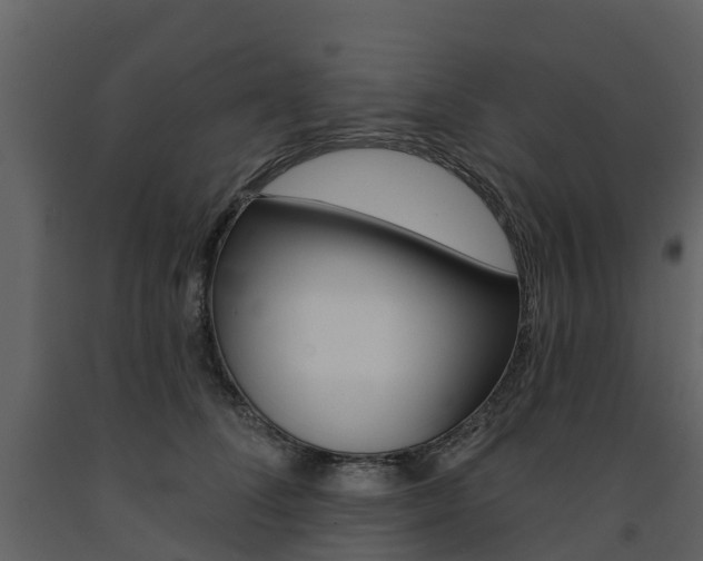 X0000091690708200708231131