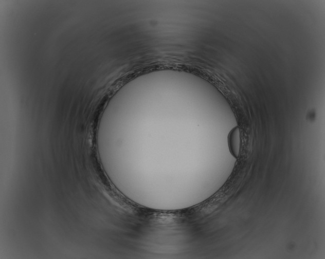 X0000091690710200708231131