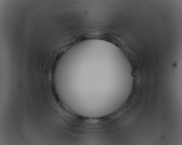 X0000091690711200708231131