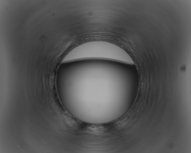 X0000091690712200708231131