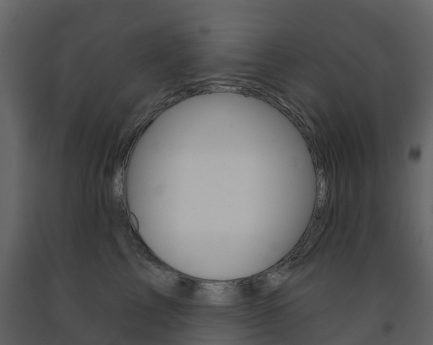 X0000091690713200708231131