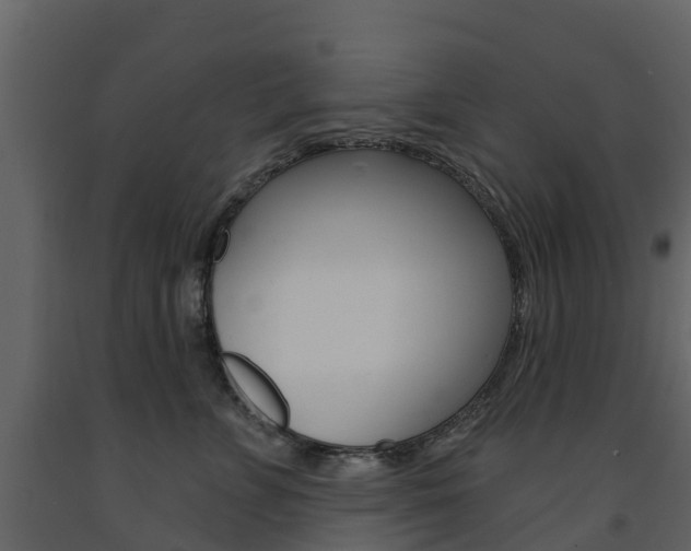 X0000091690715200708231131