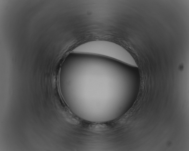 X0000091690716200708231130