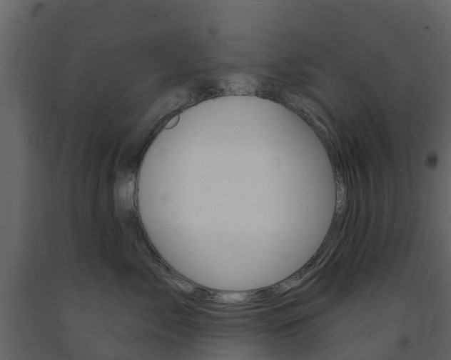 X0000091690717200708231130