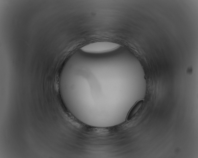 X0000091690719200708231130