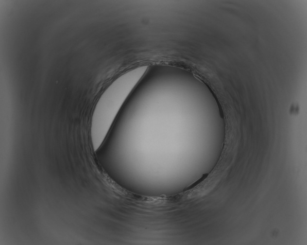 X0000091690720200708231130