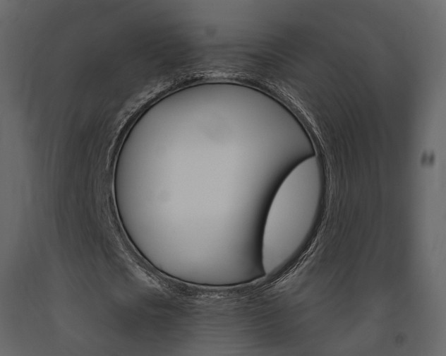 X0000091690721200708231130