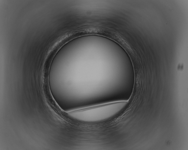 X0000091690722200708231130