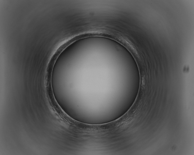 X0000091690724200708231130