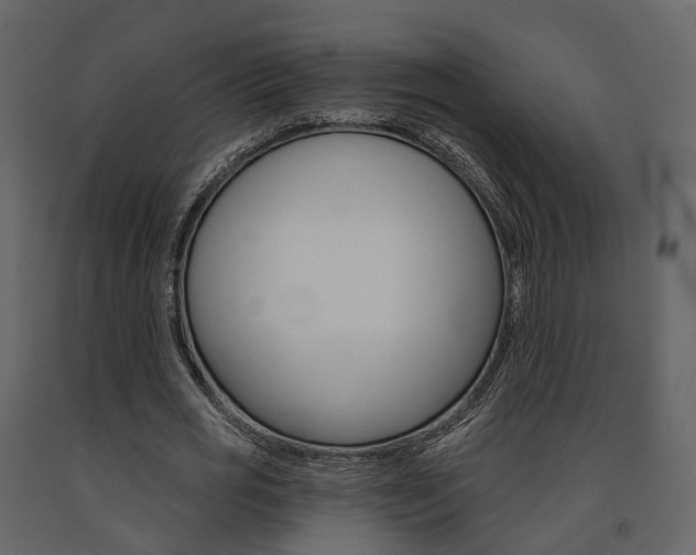 X0000091690725200708231130