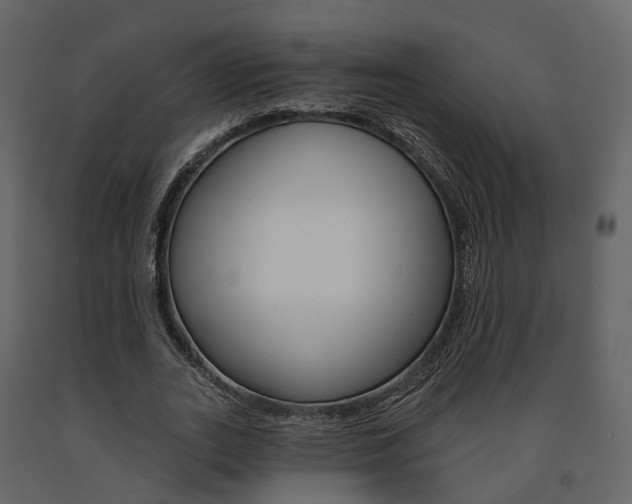 X0000091690727200708231130