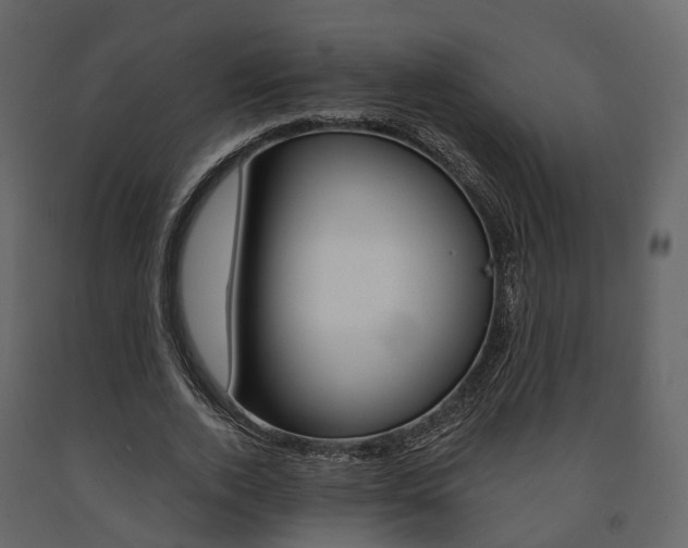 X0000091690728200708231130