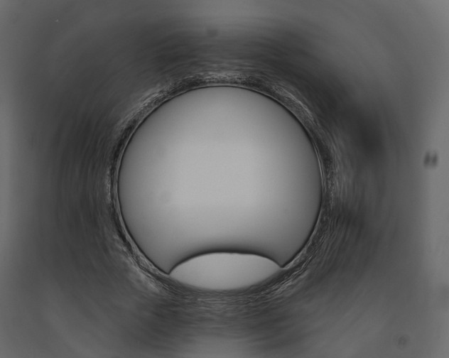 X0000091690729200708231130