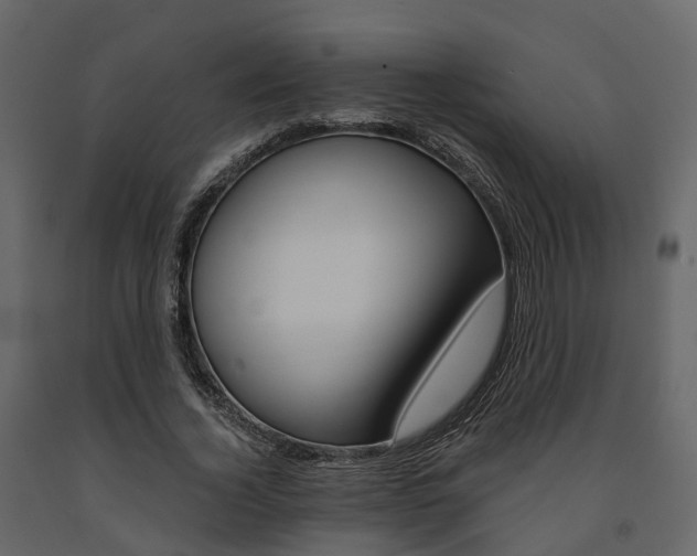 X0000091690732200708231130