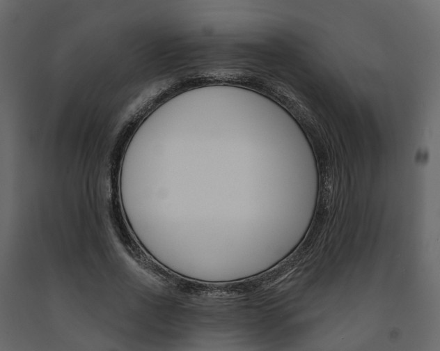 X0000091690734200708231130