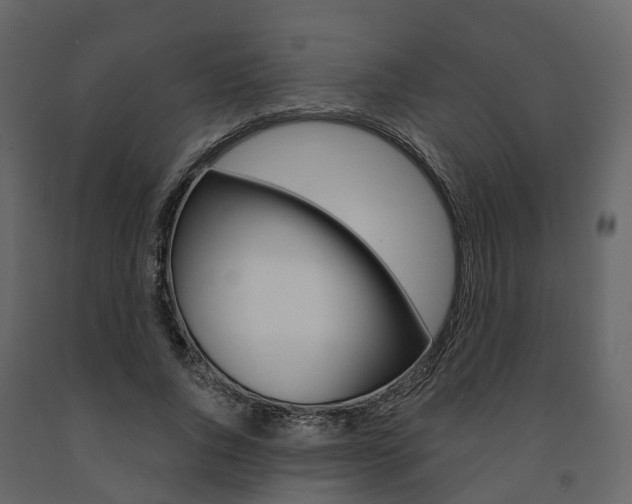 X0000091690736200708231130