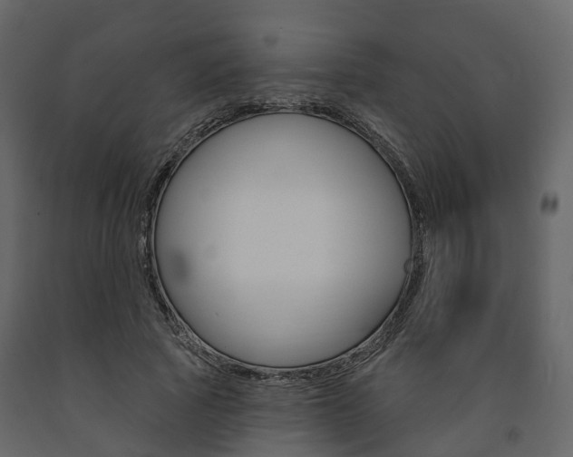 X0000091690737200708231130