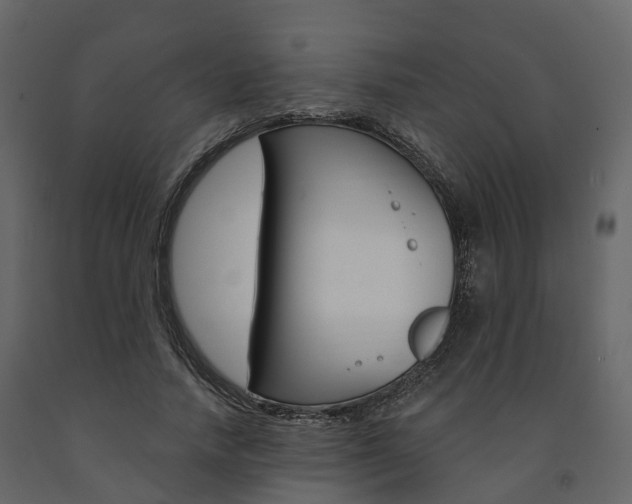 X0000091690738200708231130