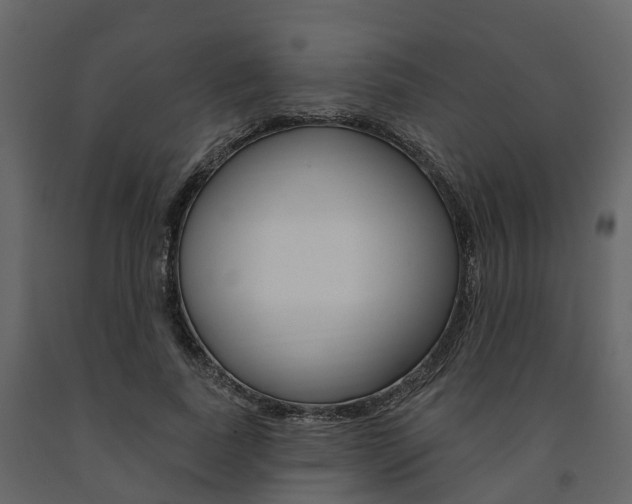 X0000091690739200708231130