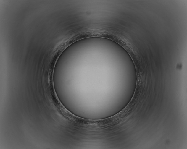 X0000091690740200708231130