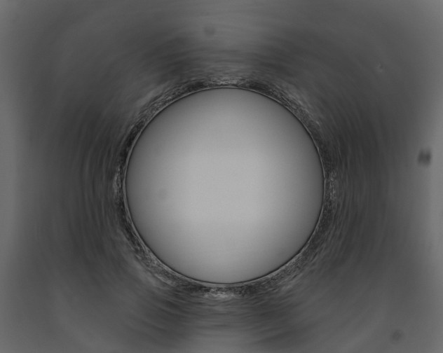 X0000091690741200708231130