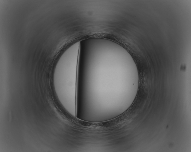 X0000091690742200708231130