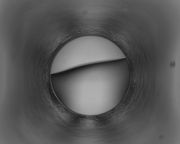 X0000091690743200708231130
