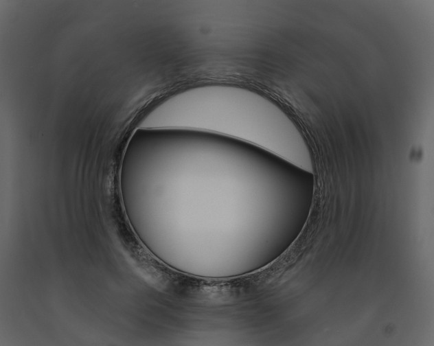 X0000091690744200708231130