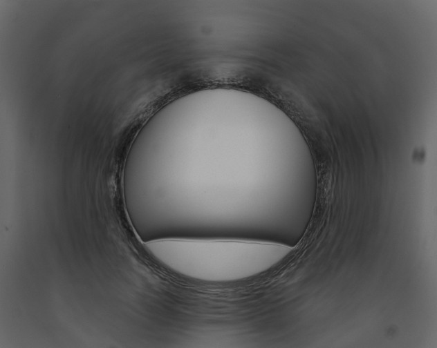 X0000091690746200708231130