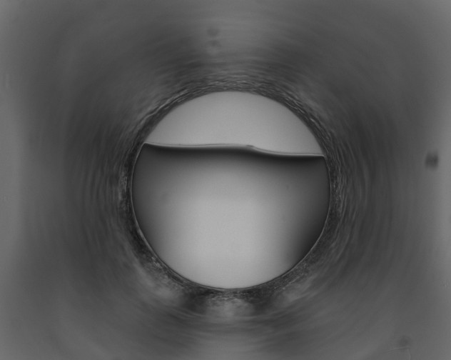 X0000091690747200708231130