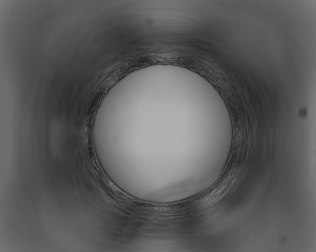 X0000091690749200708231130