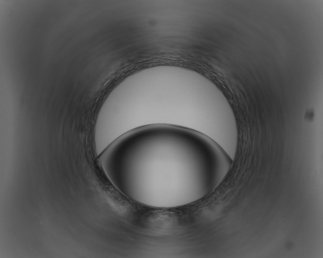 X0000091690750200708231130