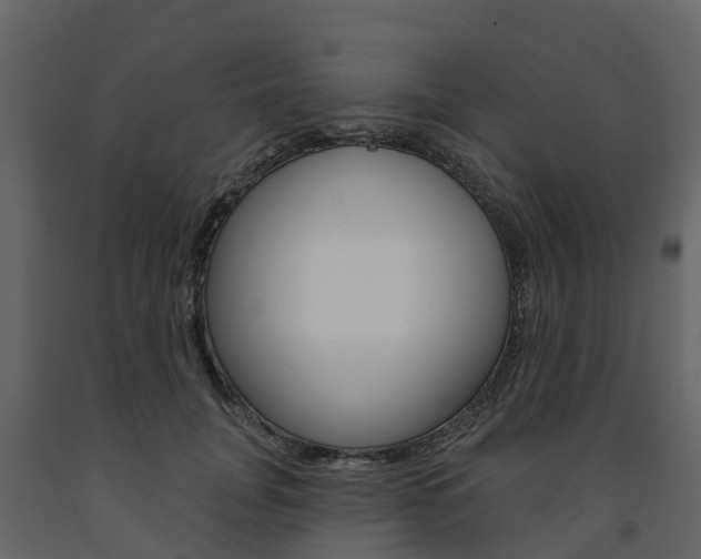 X0000091690751200708231130
