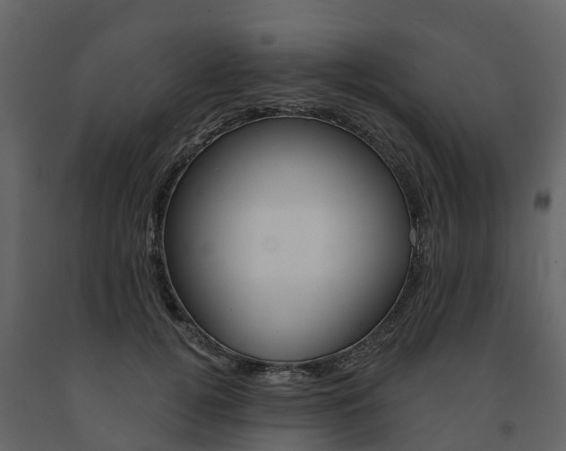 X0000091690752200708231130