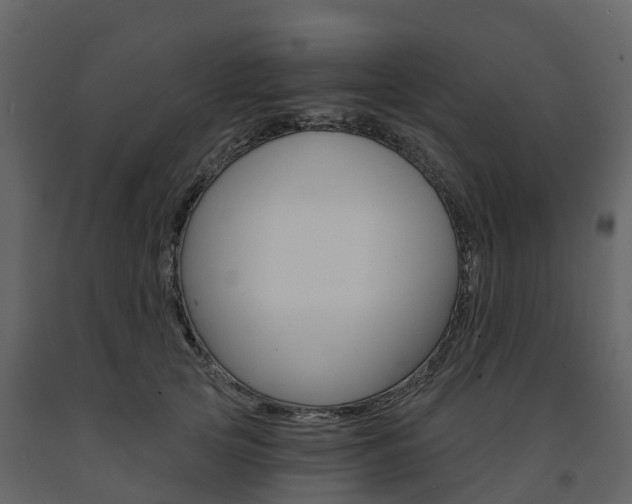 X0000091690753200708231130