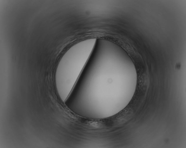X0000091690755200708231130