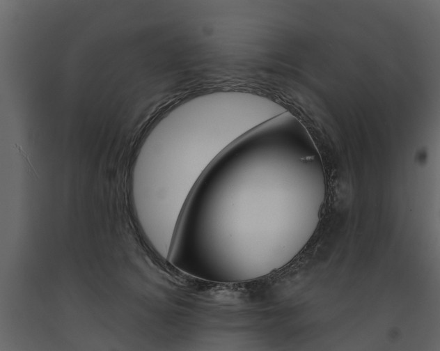 X0000091690756200708231130