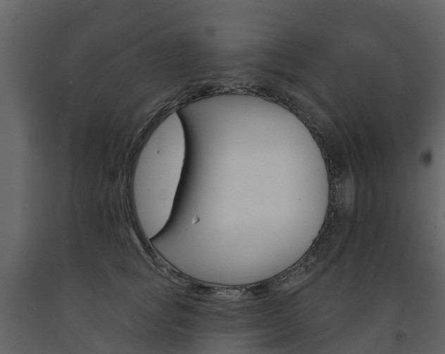 X0000091690757200708231130