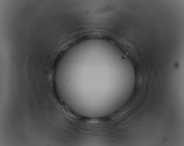 X0000091690759200708231130