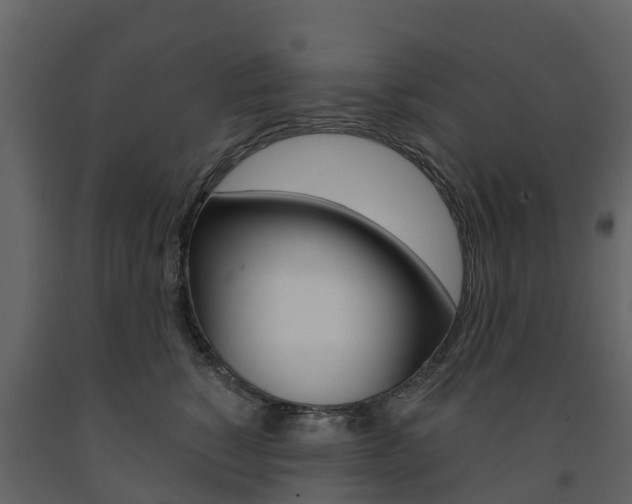 X0000091690760200708231130