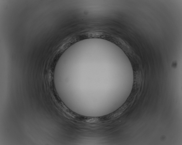 X0000091690761200708231130