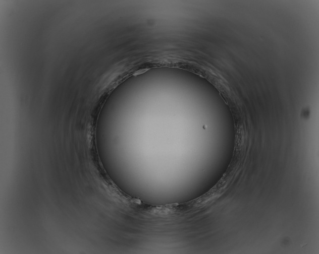 X0000091690762200708231130
