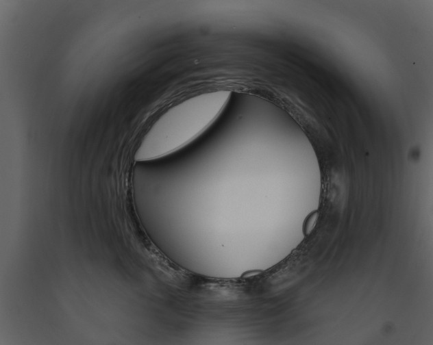 X0000091690763200708231130
