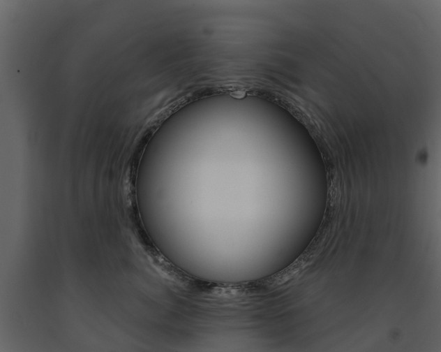X0000091690764200708231130