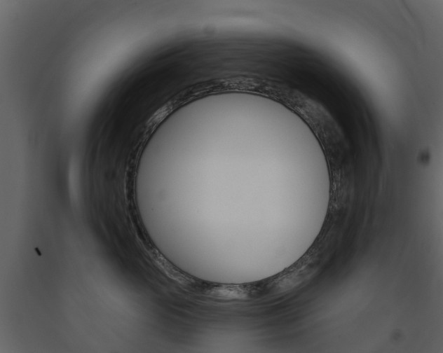 X0000091690765200708231130