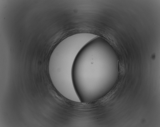 X0000091690766200708231130