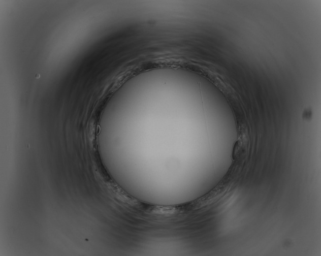 X0000091690767200708231130