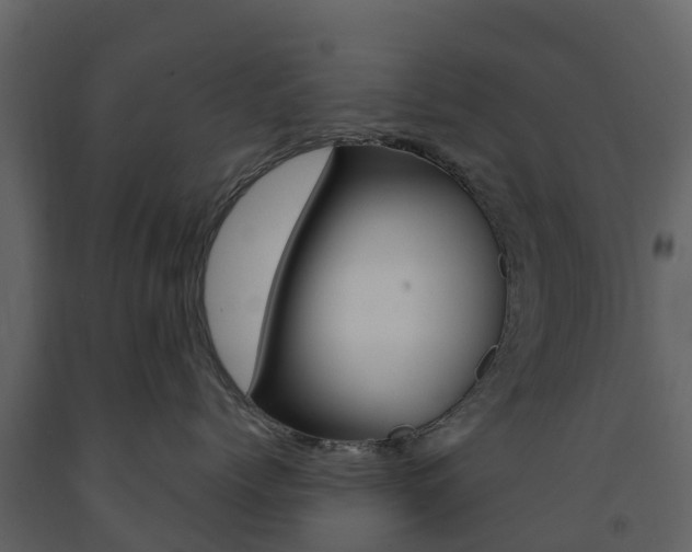 X0000091690768200708231130